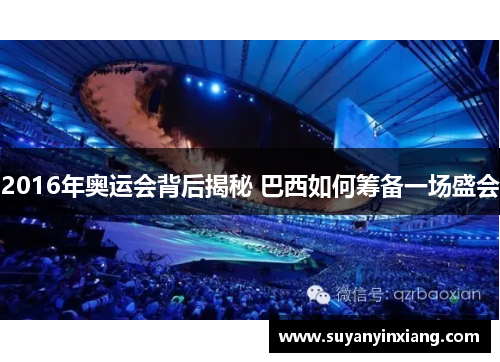 2016年奥运会背后揭秘 巴西如何筹备一场盛会
